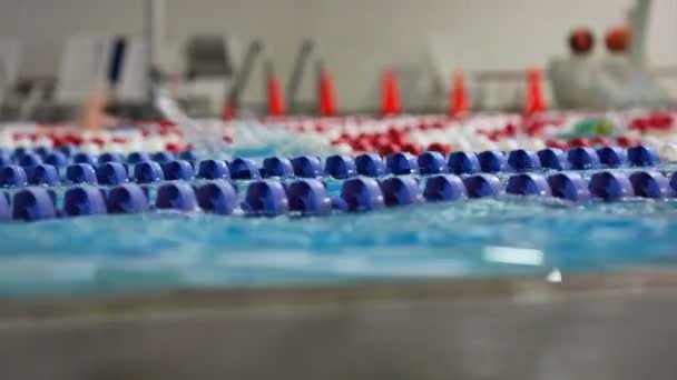 Schot van mensen zwemmen ronden. — Stockvideo