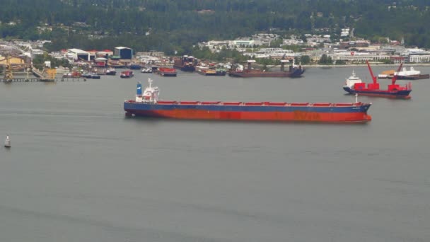 Tanker ship in Vancouver Harbour — Stock Video