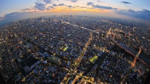 Вид с воздуха - Tokyo Cityscape — стоковое видео