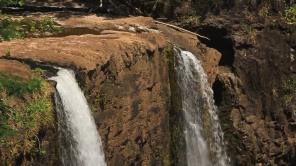 Watervallen in rock in bos — Stockvideo