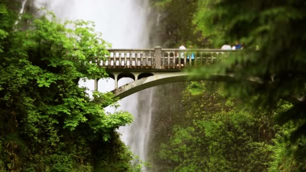 Wasserfallbrücke mit Menschen — Stockvideo