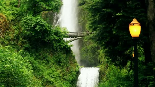 Watervallen brug met mensen — Stockvideo
