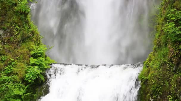 Wasserfälle im Fels im Wald — Stockvideo