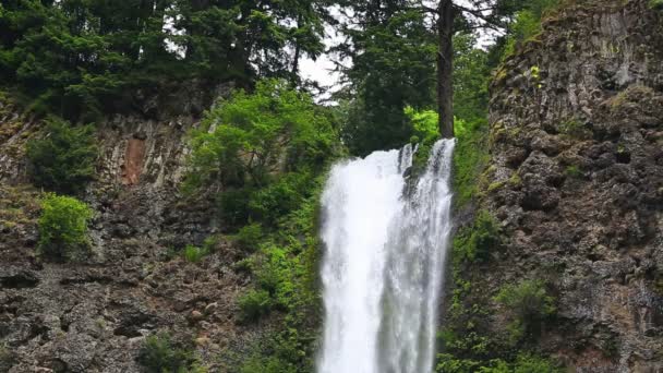 Watervallen in rock in bos — Stockvideo