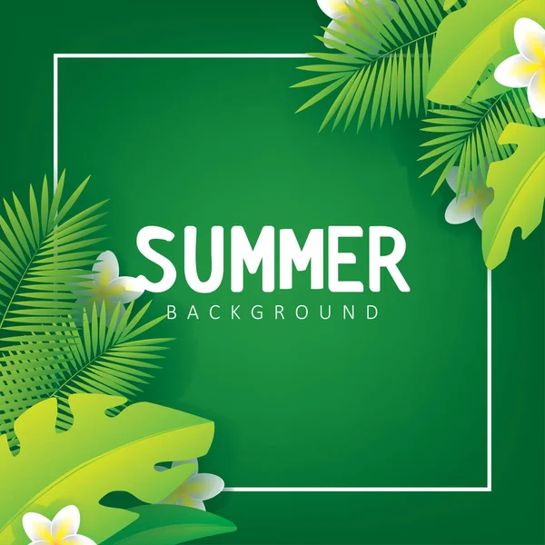 Sommer Hintergrund Illustration Mit Tropischen Pflanzen Und Grünem Hintergrund Sommer — Stockvektor