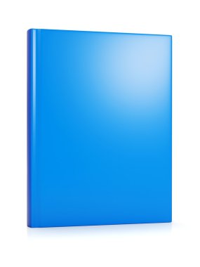 mavi kitap
