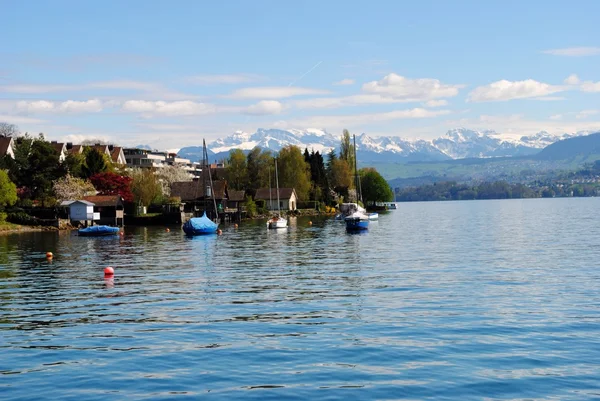 Paesaggio lacustre sul lago di Zurigo Rechtenvrije Stockfoto's