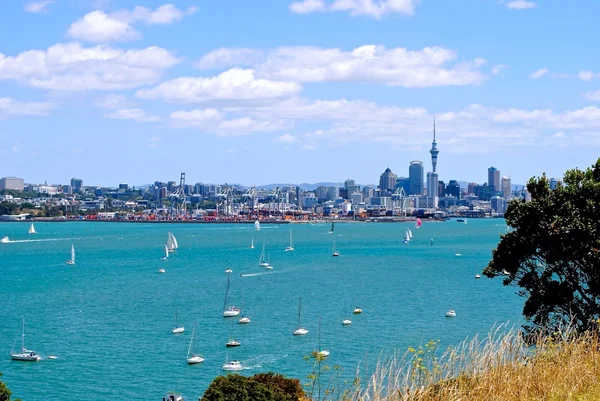 Vista panoramica di Auckland in Nuova Zelanda con regata 图库照片