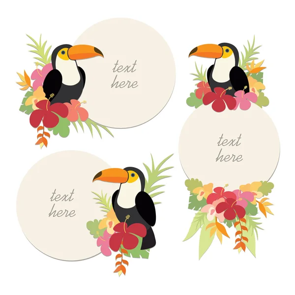 Circle metin çerçevesiyle şirin toucans ve çiçekler