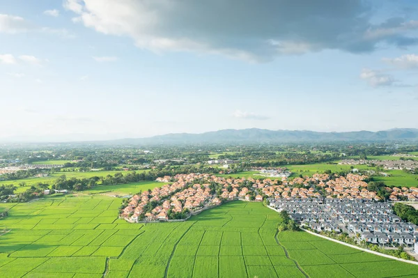 Land or landscape of green field in aerial view. Include agriculture farm, house building, village. That real estate or property. Plot of land for housing subdivision, development, sale or investment.