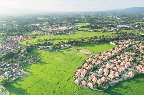 Land or landscape of green field in aerial view. Include agriculture farm, house building, village. That real estate or property. Plot of land for housing subdivision, development, sale or investment.