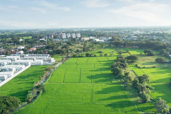 空中景观中的绿地或绿地景观 包括农业农场 房屋建造 房地产或财产 泰国清迈用于住房建设的地块 — 图库照片