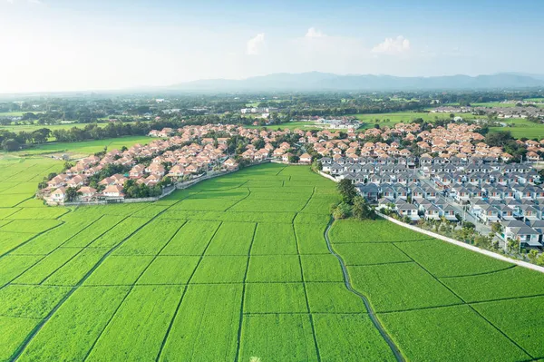 空中景观中的绿地或绿地景观 包括农业农场 房屋建造 房地产或财产 泰国清迈用于住房建设的地块 — 图库照片