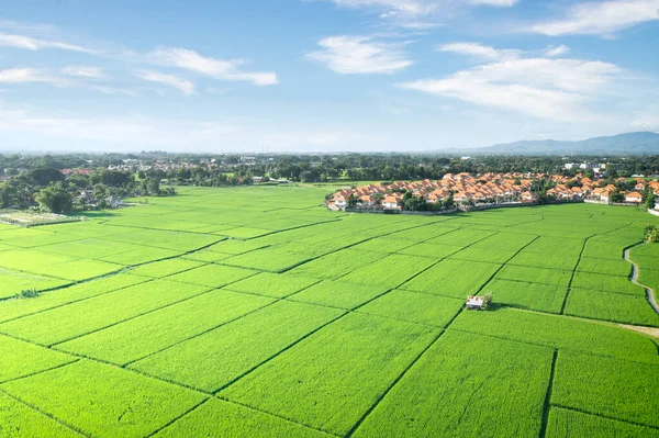 Land Oder Landschaft Von Grünem Feld Der Luftaufnahme Dazu Gehören — Stockfoto