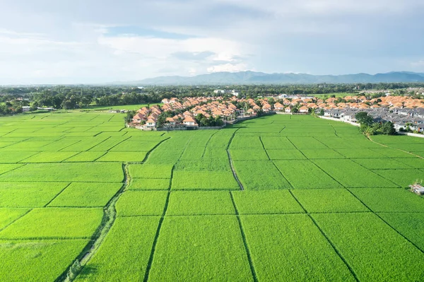 Grond Landschap Van Groen Veld Het Zicht Vanuit Lucht Omvat — Stockfoto