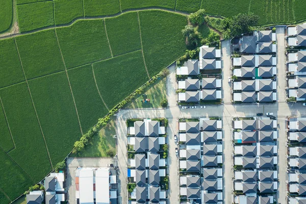 육지나푸른 들판의 공중에서 내려다 보인다 마을을 포함합니다 부동산이나 부동산이요 투자의 — 스톡 사진