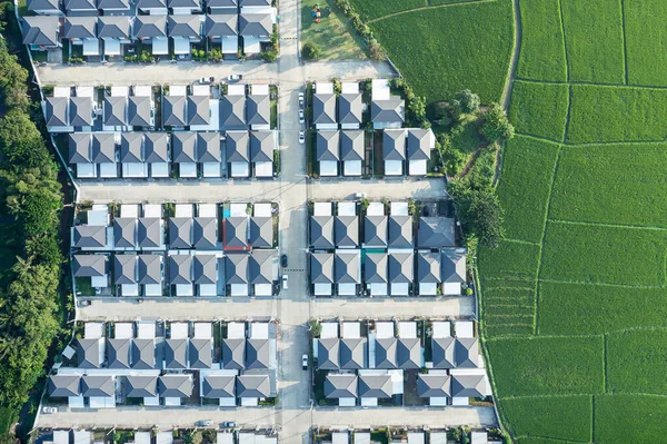 Mark Eller Landskap Grönt Fält Flygsikt Inkludera Jordbruk Gård Hus — Stockfoto