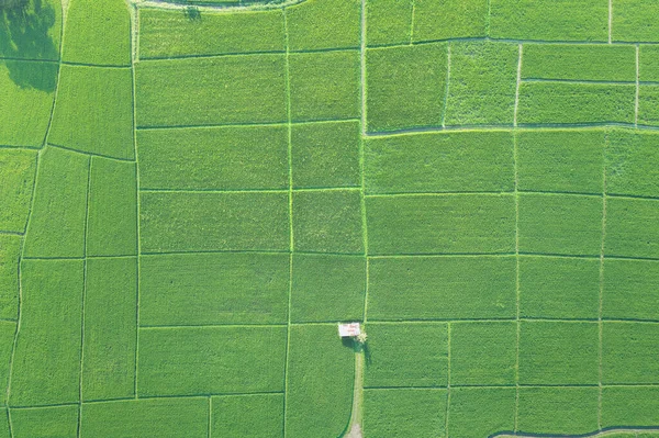 Terra Paisagem Campo Verde Vista Aérea Lote Terra Terra Para — Fotografia de Stock