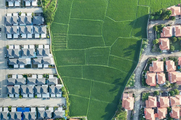 Terreno Paisaje Campo Verde Vista Aérea Incluye Granja Agrícola Construcción —  Fotos de Stock