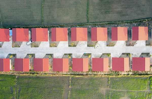 Land Oder Landschaft Von Grünem Feld Der Luftaufnahme Dazu Gehören — Stockfoto