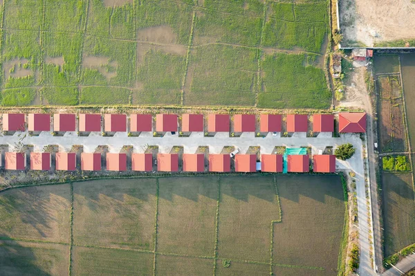 Terra Paisagem Campo Verde Vista Aérea Inclua Fazenda Agrícola Construção — Fotografia de Stock