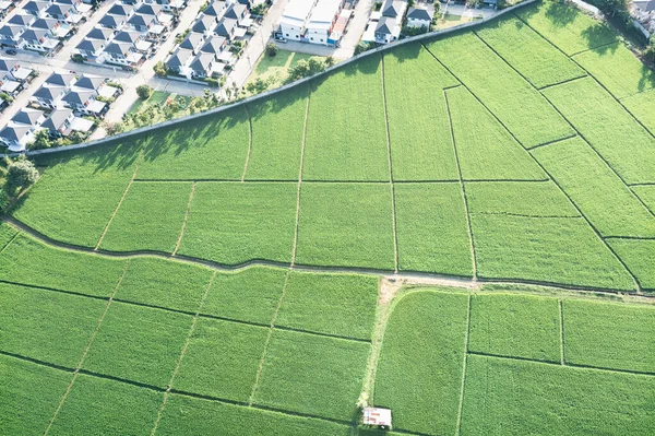 Terra Paisagem Campo Verde Vista Aérea Inclua Fazenda Agrícola Residencial — Fotografia de Stock