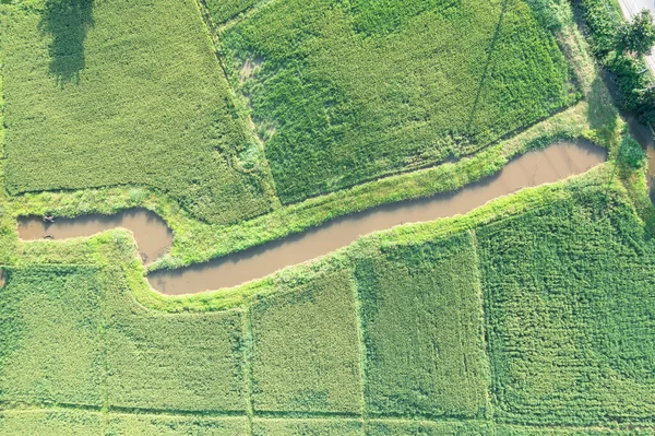 空中景观中的绿地或绿地景观 耕地或种植园用地 包括清迈的水渠 水稻或稻谷的质构形态 — 图库照片