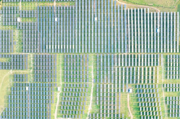 Solar farm, field or solar power plant in aerial view consist of photovoltaic cell in panel, landscape, technology. Industry for electric, electricity generation by sun light or sunlight. Clean and green power, sustainable energy from nature.