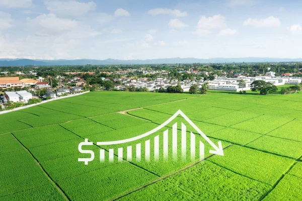 Terra Paisagem Campo Verde Vista Aérea Inclua Edifício Casa Gráfico — Fotografia de Stock