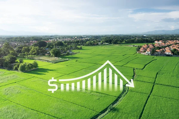 Terra Paisagem Campo Verde Vista Aérea Inclua Gráfico Barras Gráfico — Fotografia de Stock