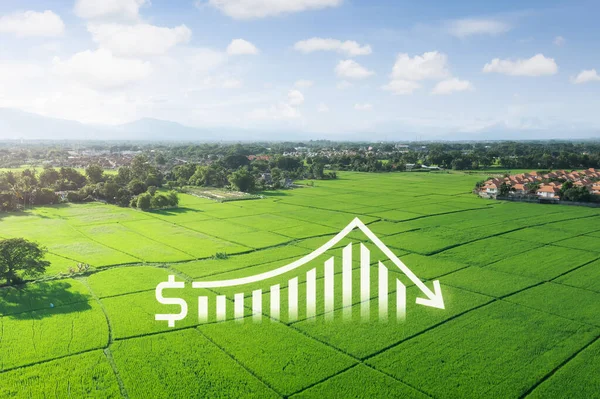 Terra Paisagem Campo Verde Vista Aérea Inclua Gráfico Barras Gráfico — Fotografia de Stock