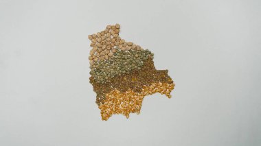 Bolivya haritası kanguil tohumları, patlamış mısır, mercimek, nohut ve bezelye ile yapıldı. Güney Amerika 'da ya da Latin Amerika' da yerel çiftçilerin gıda egemenliğini temsil eder..