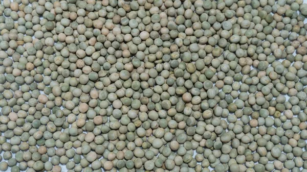 Green Pea Seed Fund Local Farmers Food Sovereignty — стоковое фото