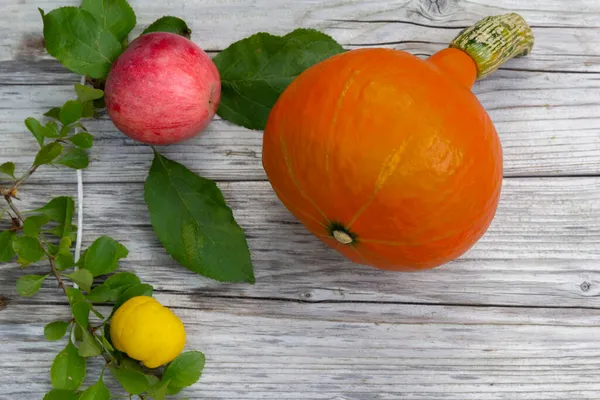 Roter Apfel, orangefarbener Kürbis, gelbe Quitte und grüne Blätter auf rustikalem Holzgrund. Herbst im Hintergrund. Erntedank. Lebensmittel-Hintergrund. Kopierraum — Stockfoto