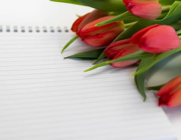 Красный тюльпаны и бумажный фон ноутбука. Пространство для копирования, макет обложки поздравительной открытки, для Вашего дизайна — стоковое фото