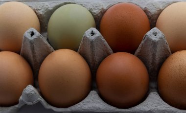 Arka plan olarak kutu içinde tavuk yumurtası. Paskalya yumurtası doğal renk arkaplanı, kopyalama alanı, tebrik kartı, kartpostal, afiş, kapak, tasarım için.