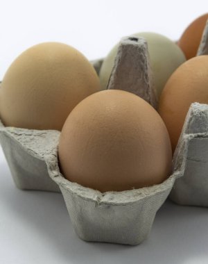 Beyaz arka planda kutu içinde tavuk yumurtası. Paskalya yumurtası doğal renk arkaplanı, kopyalama alanı, tebrik kartı, kartpostal, afiş, kapak, tasarım için.