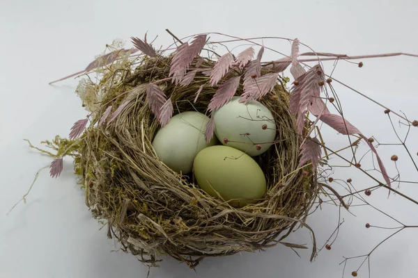 Oeufs de poulet vert dans un nid de paille sur fond blanc. Oeufs de Pâques fond de couleur naturelle, espace de copie, carte de vœux, carte postale, bannière, couverture, maquette, pour votre design — Photo