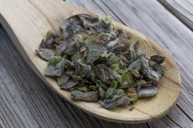 Origanum dictamnus, ahşap kaşık ve ahşap arka planda Girit çayı. Girit dittany ya da hop marjoram, Girit 'te yetişen tıbbi bir çaydır. İyileştirici, tedavi edici ve aromatiktir.
