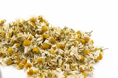 dry camomille flowers on white background., medical herb copy space. It is a healing, therapeutic and wellbeing plant, healthy food. Banner, cover, mockup, for design, horizontal