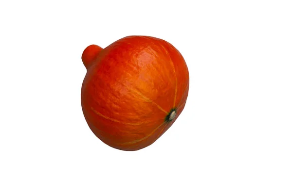 Orange Pumpkin Isolated White Background Food Vegetables Thanksgiving Hallowen Copy — Stock Photo, Image