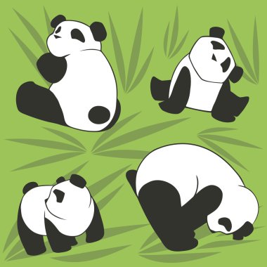 Panda sorunsuz 1