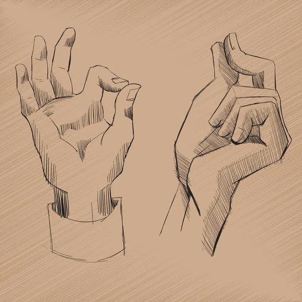 Vector boceto manos — Vector de stock