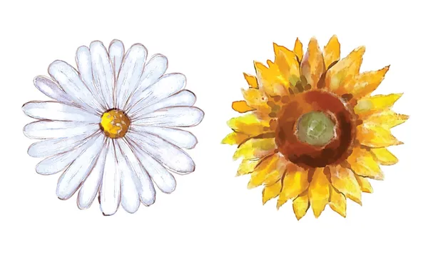 水彩画の花セット — ストックベクタ