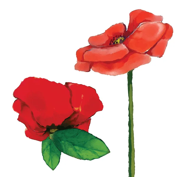 Aquarel poppy bloem set — Stockvector