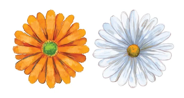 Aquarel bloem set — Stockvector