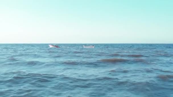 Twee boten drijven in verschillende richtingen in de zee op de golven. — Stockvideo