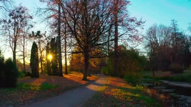 Pagi di hutan musim gugur. Pemandangan musim gugur yang ajaib. Jalan di Park — Stok Video