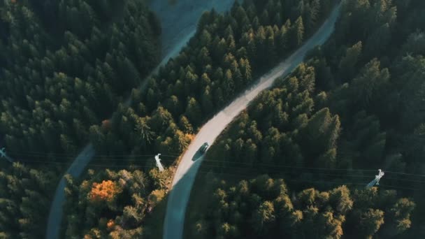  voiture conduisant sur la route de montagne dans la forêt le soir au crépuscule