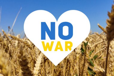 Yazılı beyaz kalp Buğdaylı tarlanın arka planında savaş yok